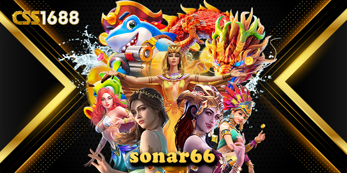 sonar66